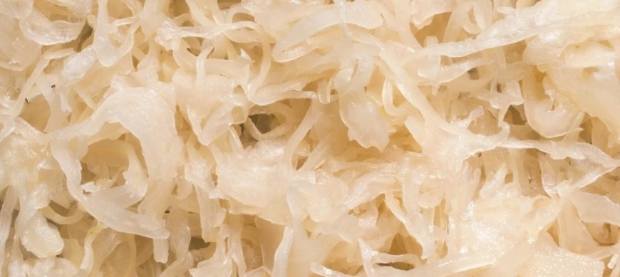 CHUCRUT CON THERMOMIX