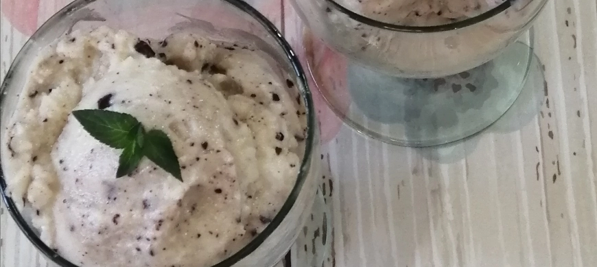 Mis helados con Thermomix®: Helado de melón con chocolate y menta