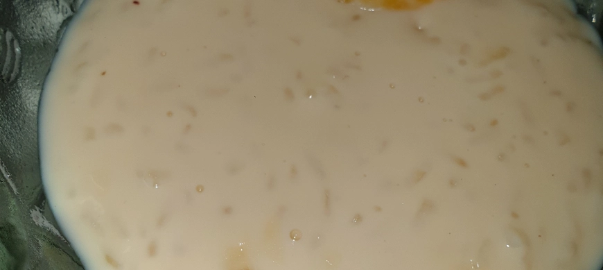 ARROZ CON LECHE SIN LACTOSA @TM6