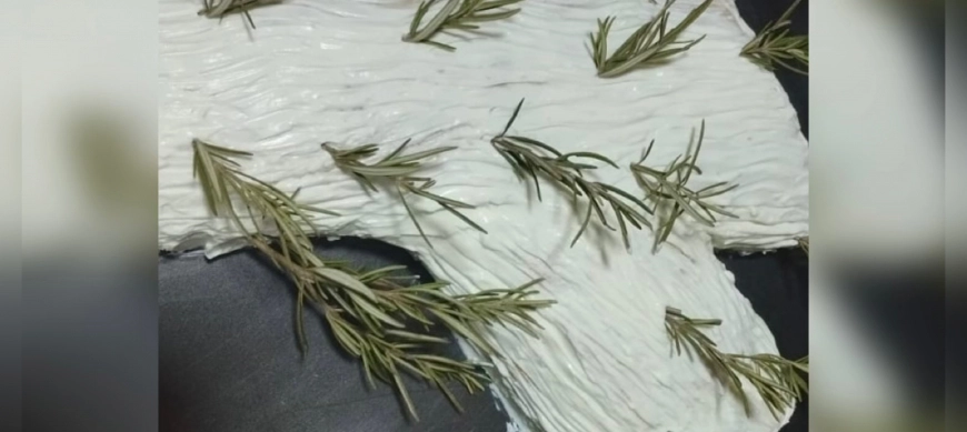 TRONCO SALADO DE NAVIDAD