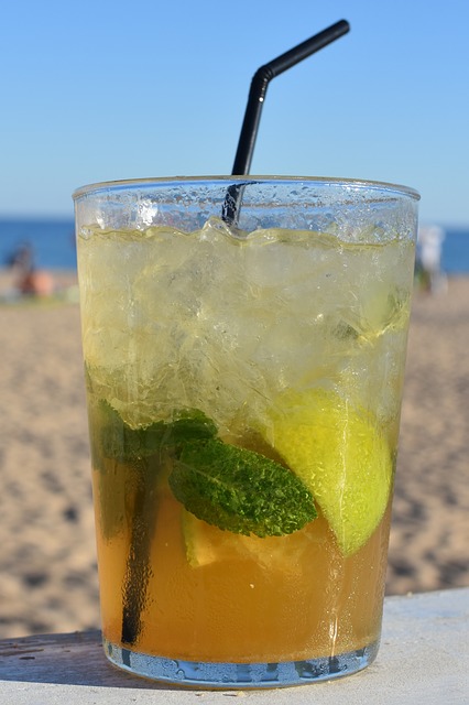 Receta de granizado de mojito sin alcohol thermomix
