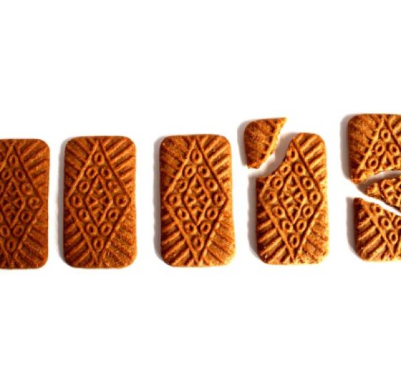 GALLETAS SPECULOOS (galletas tipo LOTUS) con Thermomix®