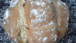Pan rapido